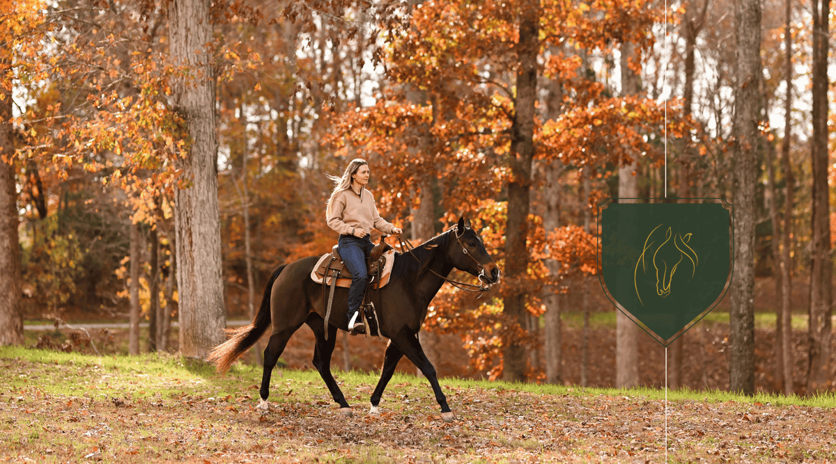 How Far Can a Horse Travel in a Day? Exploring Equine Endurance